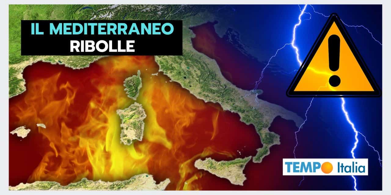 ONDATA DI CALORE MARINA: quando il meteo rovente devasta il mare