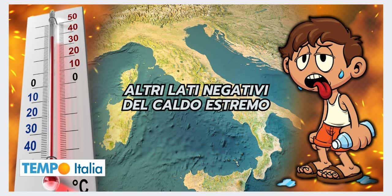 Notti tropicali e invasione di insetti: conseguenze del meteo rovente