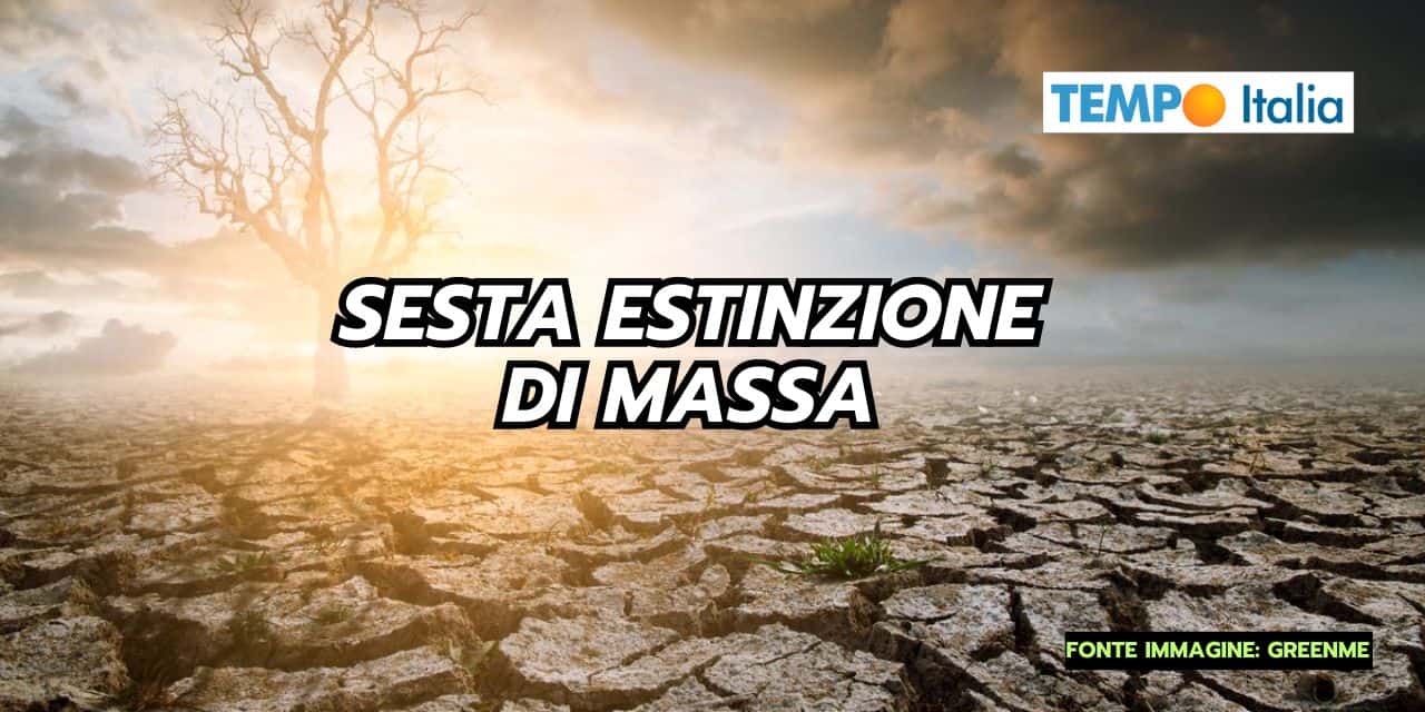 CAMBIAMENTI CLIMATICI: siamo nella SESTA ESTINZIONE DI MASSA