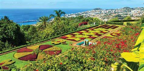Esplorazione dei magnifici giardini botanici di Madeira e delle loro storie