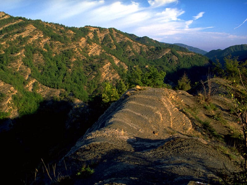 Un approfondimento dettagliato sull’esplorazione geografica e ambientale del Monte Falterona 2 R 7