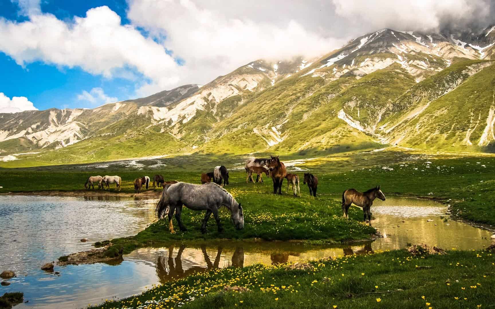 Il Parco Nazionale Del Gran Sasso Un Gioiello Naturale UNESCO E Il Parco Nazionale Del Gran Sasso Un Gioiello Naturale UNESCO E