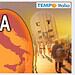 Nuova ondata di caldo intenso