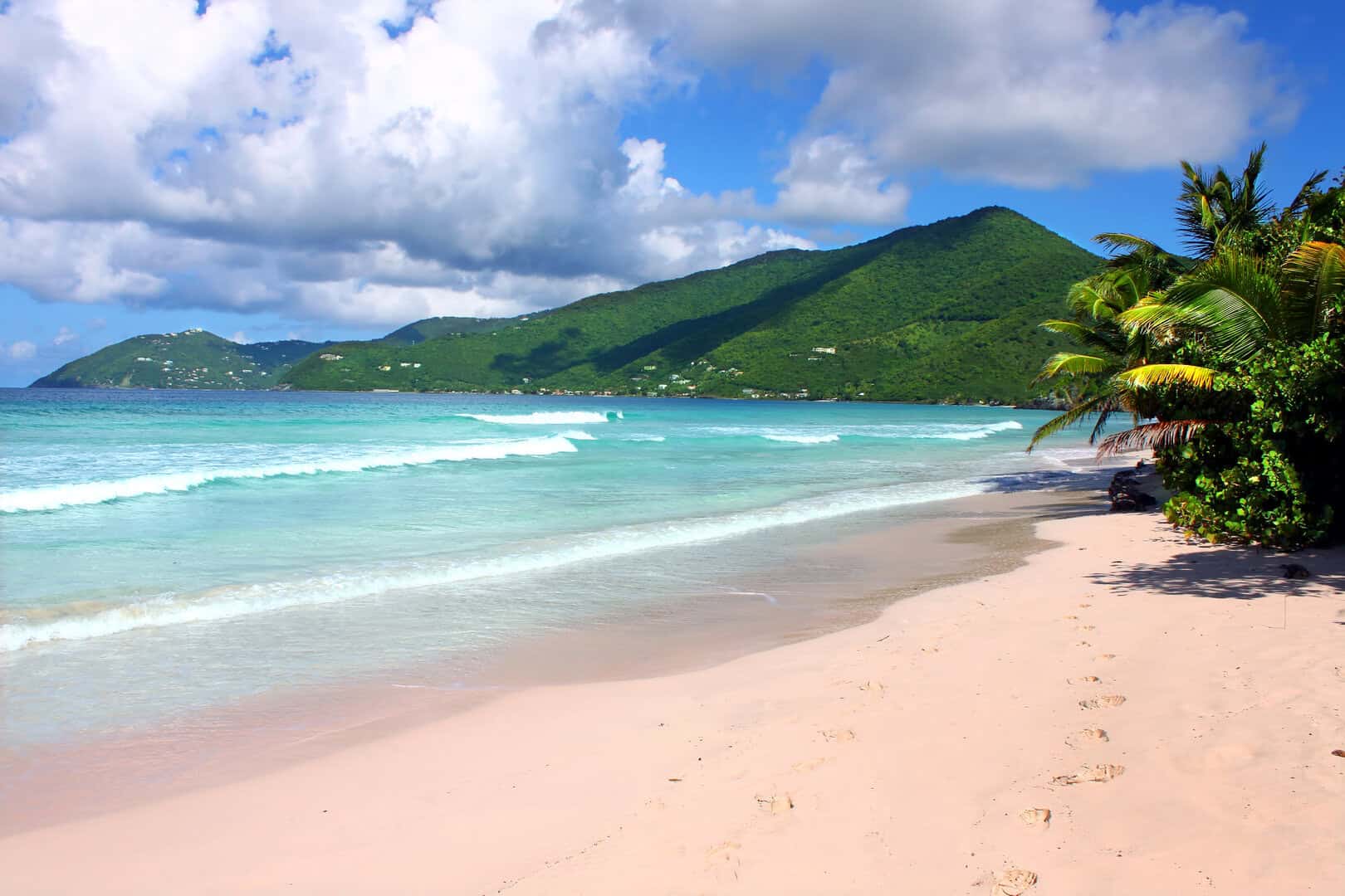 Alla scoperta di Tortola: un paradiso naturale 11 Alla scoperta di Tortola: un paradiso naturale