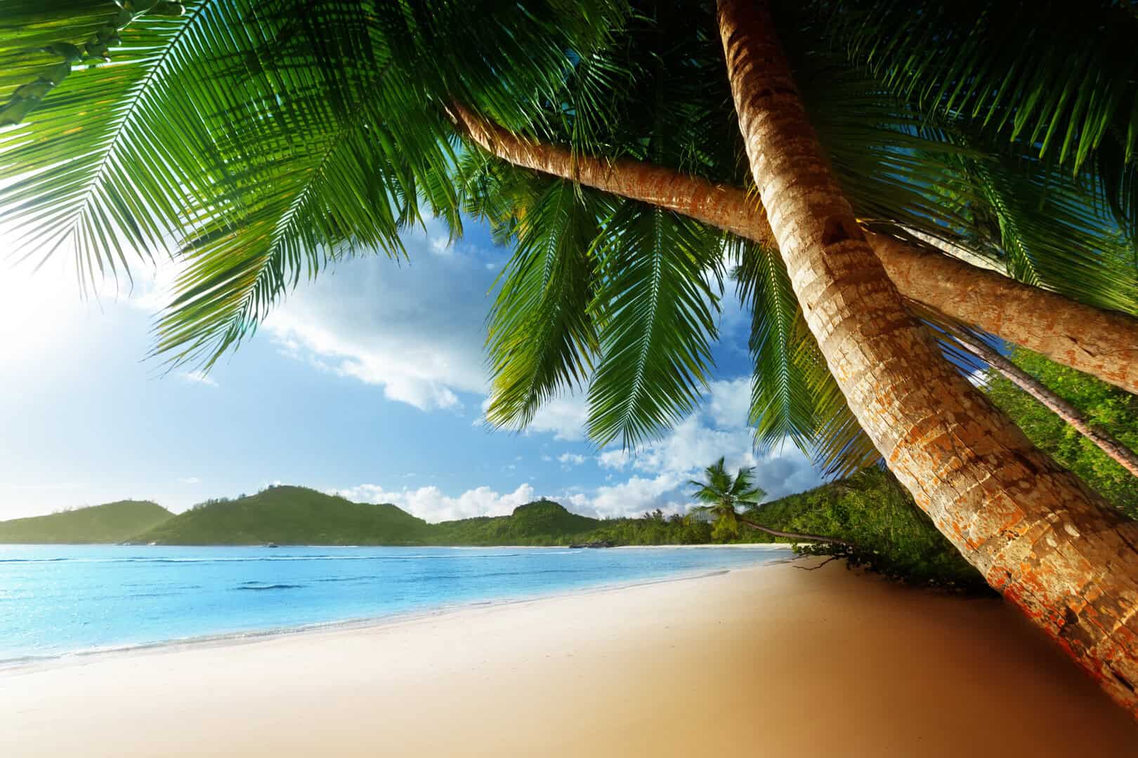 Scopri Mahé nelle Seychelles. Viaggio low cost tra foreste rigogliose e spiagge 5 Scopri Mahé nelle Seychelles. Viaggio low cost tra foreste rigogliose e spiagge