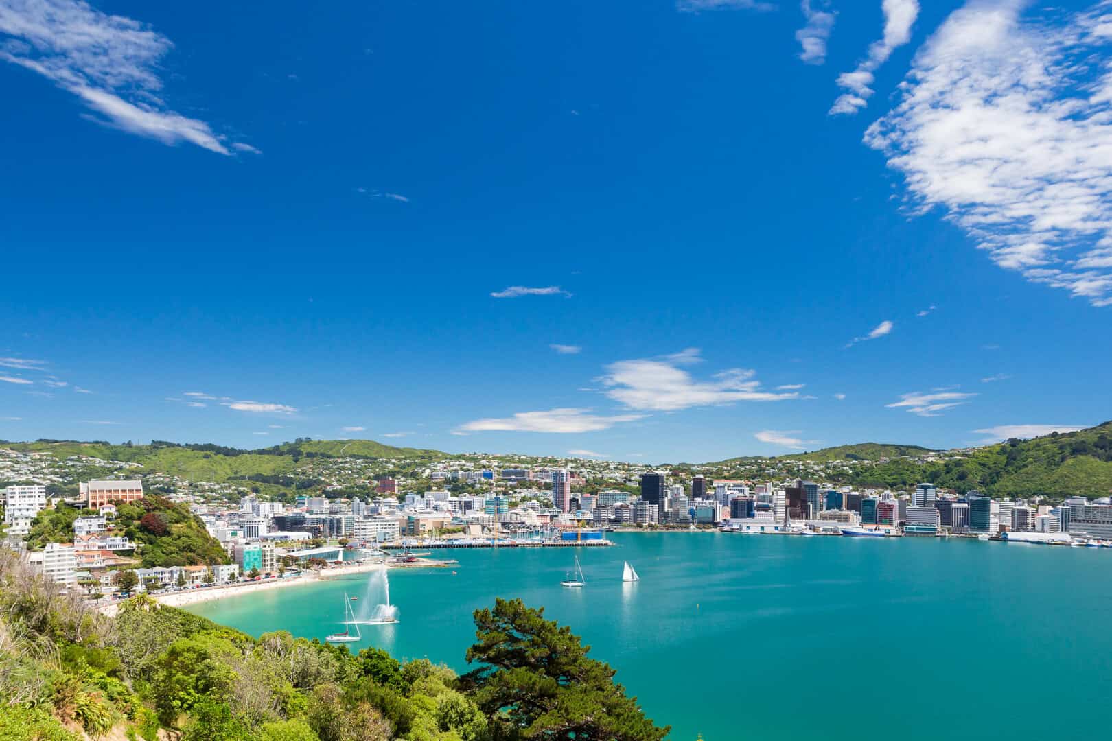 Viaggio economico a Wellington. Cultura, relax e storia naturale tra le attrazioni