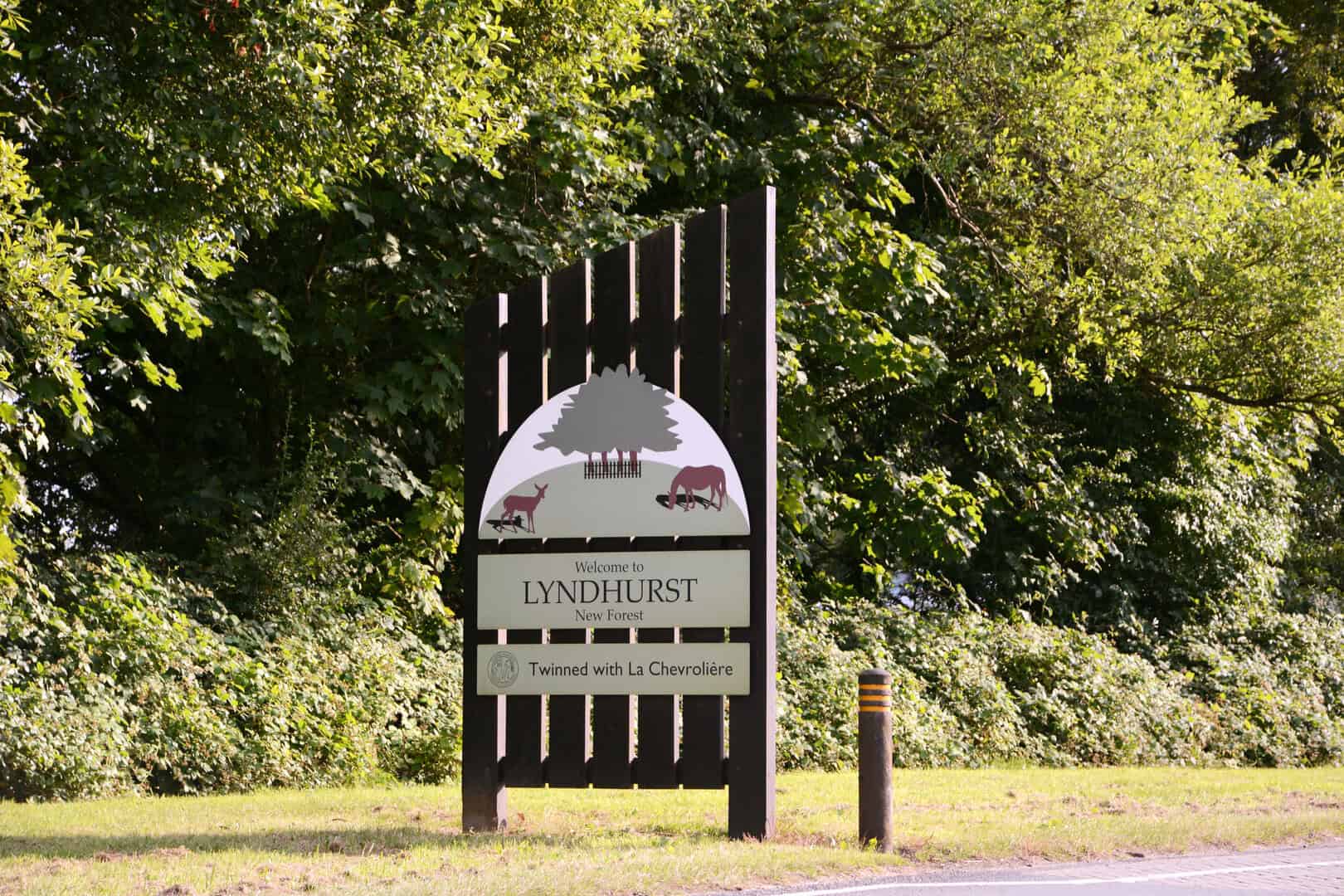 Guida alle migliori passeggiate nei boschi britannici. Viaggio nel New Forest 8 Guida alle migliori passeggiate nei boschi britannici. Viaggio nel New Forest