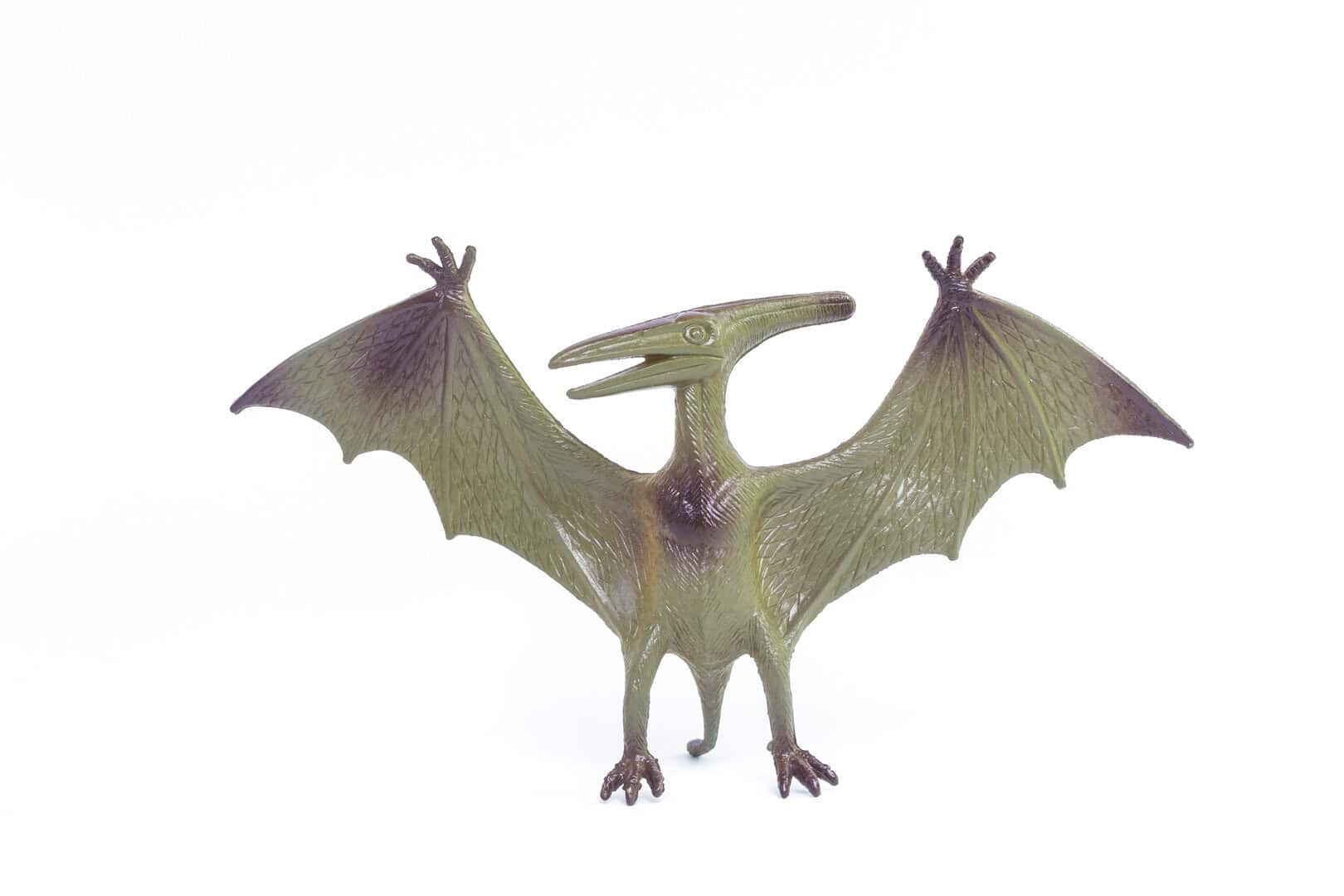 Il mistero del volo dei pterosauri risolto. Confermato il lancio a quattro arti 2 dreamstime m 46001818