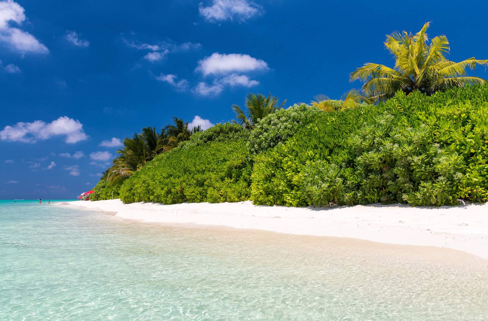 Alla scoperta di Thoddoo: il gioiello nascosto delle Maldive 10 Alla scoperta di Thoddoo: il gioiello nascosto delle Maldive