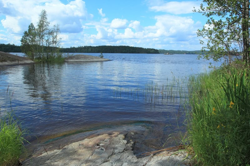 Viaggio nelle riserve della biosfera di Saimaa in Finlandia 6 Viaggio nelle riserve della biosfera di Saimaa in Finlandia