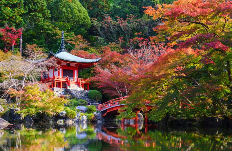 Viaggio a Kyoto tra templi incantevoli e giardini zen 16 Viaggio a Kyoto tra templi incantevoli e giardini zen