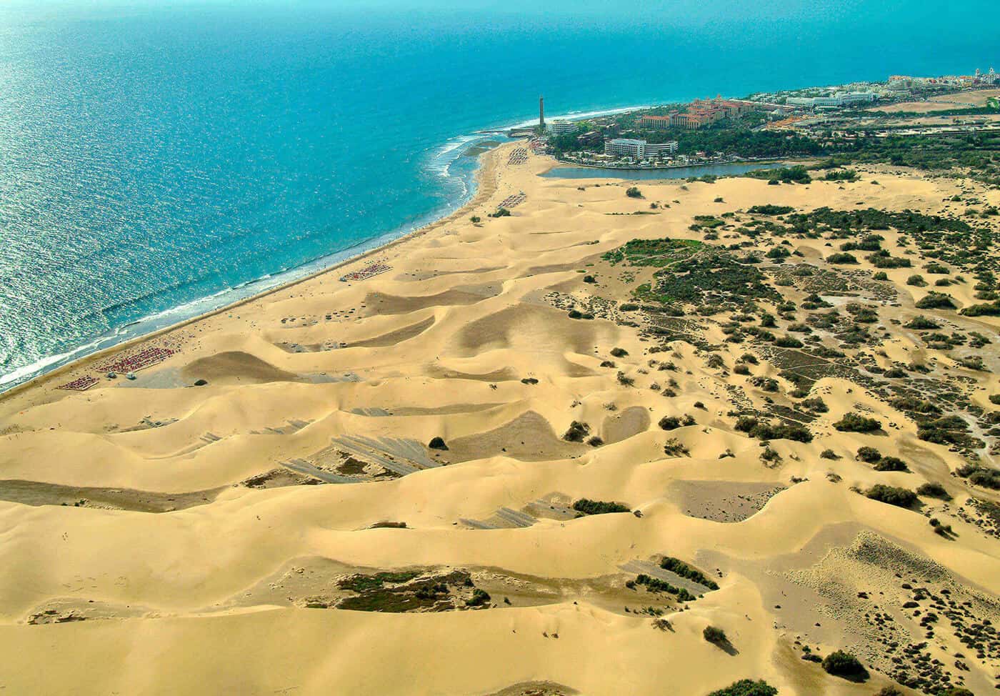 Esplorazione ed ecoturismo nelle Dune di Maspalomas durante un viaggio alle Canarie 14 Esplorazione ed ecoturismo nelle Dune di Maspalomas durante un viaggio alle Canarie