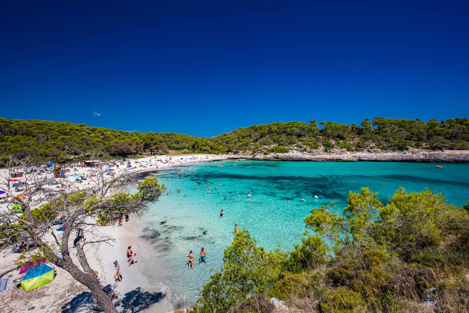 Alla scoperta di spiagge incantevoli e montagne mozzafiato a Mallorca 2 dreamstime m 192375962