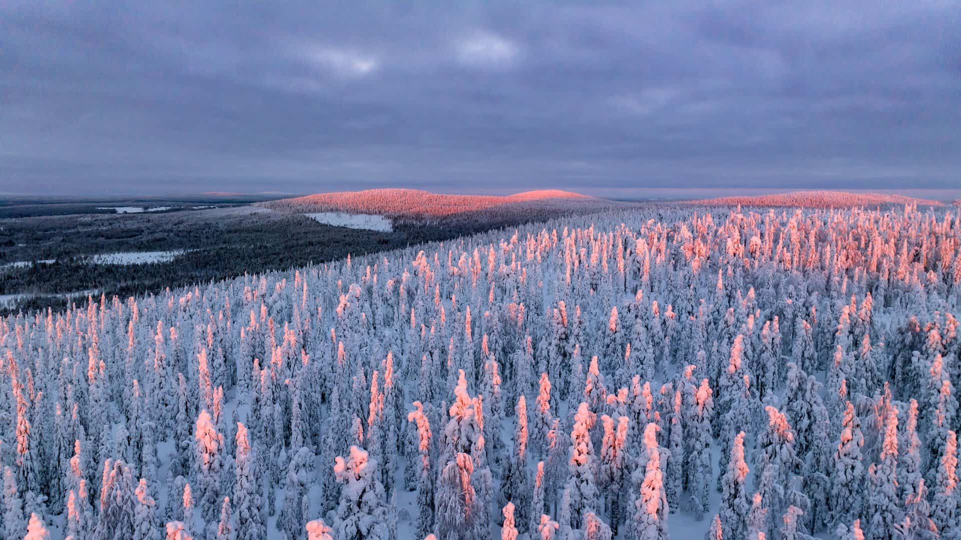 Un’avventura finlandese da scoprire. Viaggio nelle foreste incantate di Syöte 3 Un’avventura finlandese da scoprire. Viaggio nelle foreste incantate di Syöte