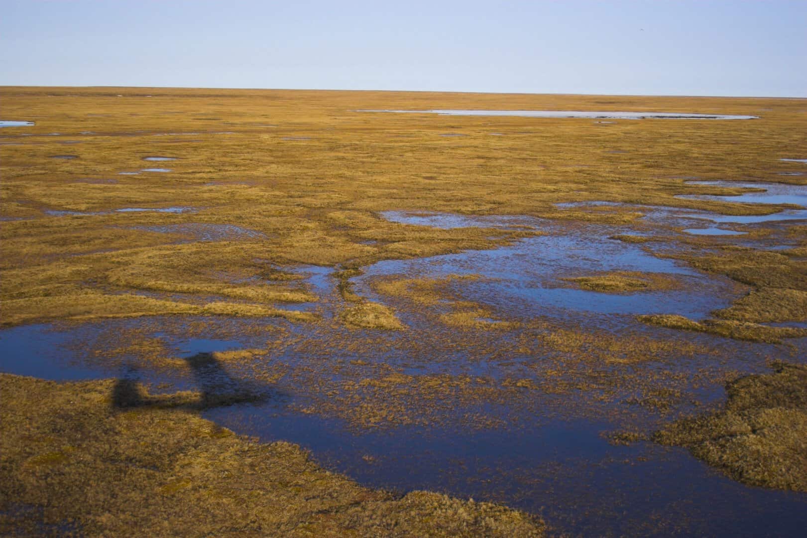La minaccia del mercurio nascosto nell’Artico aumenta con le temperature. Milioni a rischio 3 La minaccia del mercurio nascosto nell’Artico aumenta con le temperature. Milioni a rischio