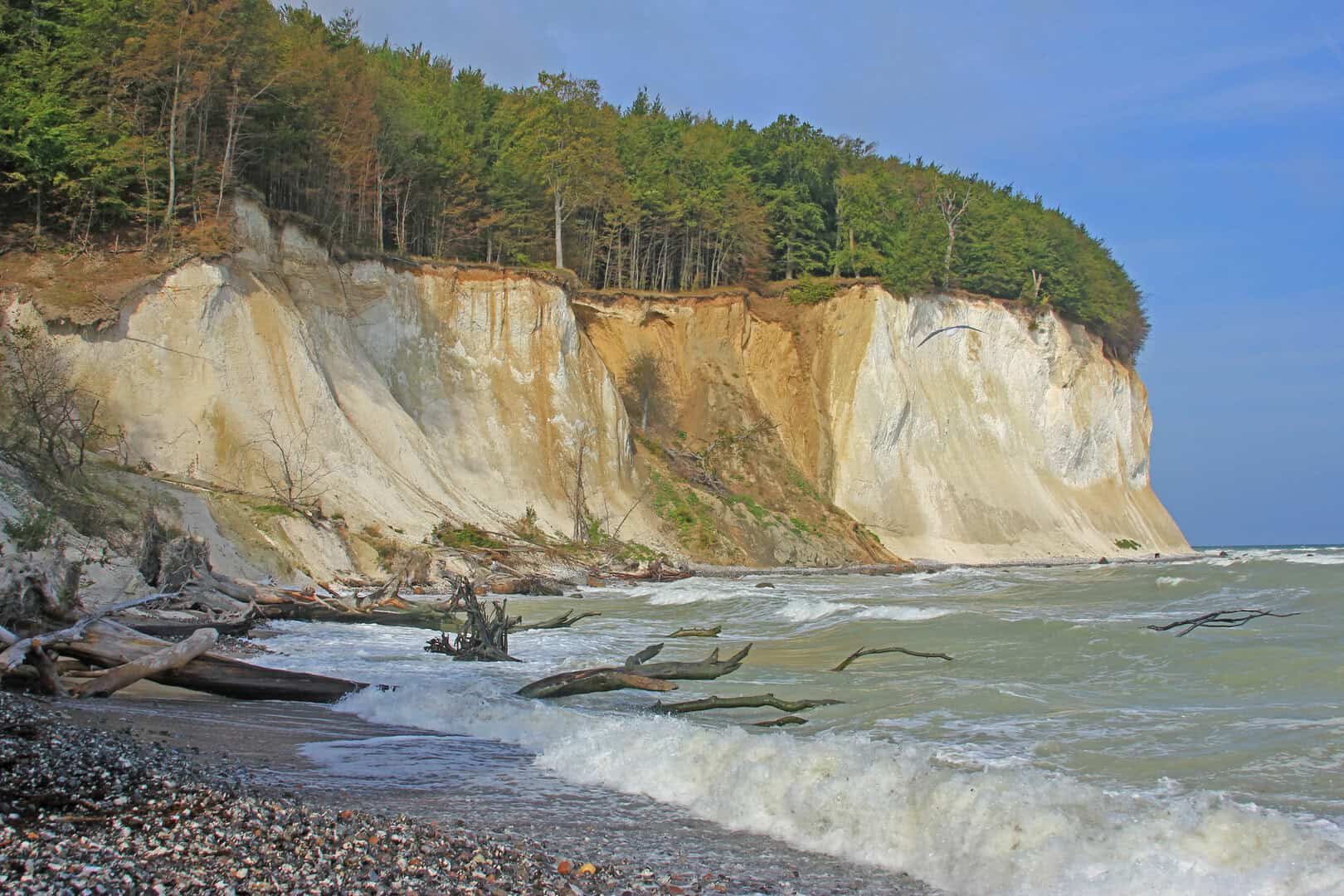 Esplorando le scogliere di Kreidefelsen sull’isola di Rügen. Viaggio in Germania 13 Esplorando le scogliere di Kreidefelsen sull’isola di Rügen. Viaggio in Germania