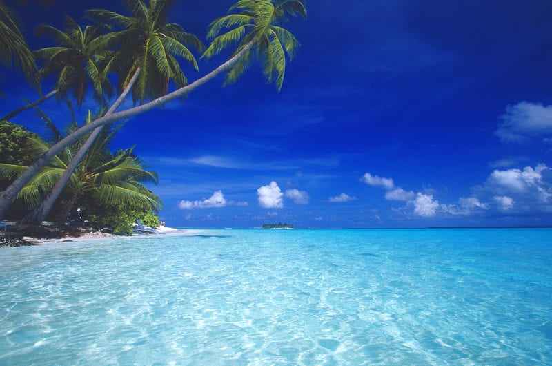 Esplorazione delle spiagge incontaminate di Fonadhoo durante un viaggio alle Maldive 21 Esplorazione delle spiagge incontaminate di Fonadhoo durante un viaggio alle Maldive