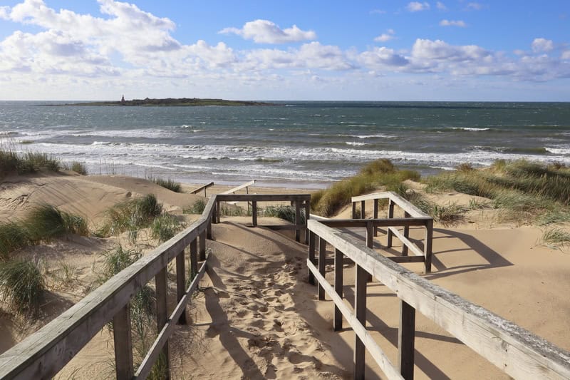 Vacanza nelle incantevoli spiagge di Halmstad in Svezia 12 Vacanza nelle incantevoli spiagge di Halmstad in Svezia