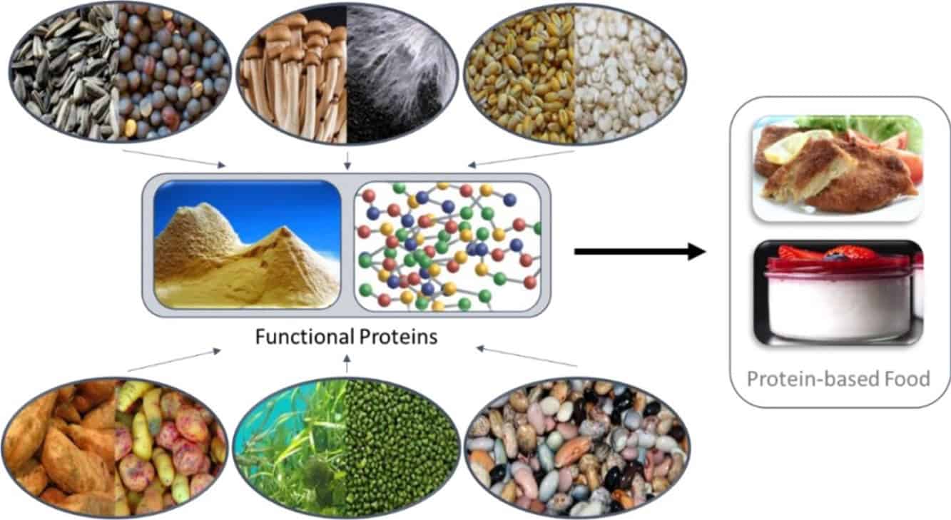 Gli scienziati tedeschi raccolgono proteine da aria e acqua. Addio agricoltura tradizionale