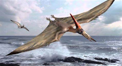 Il pterosauro "Dracula": il gigante dei cieli 2 OIP 11