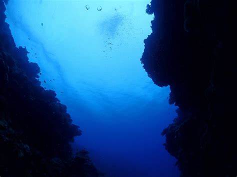 Nella fossa delle Marianne strutture sembrano convertire energia. Processo simile alla vita 2 OIP 4