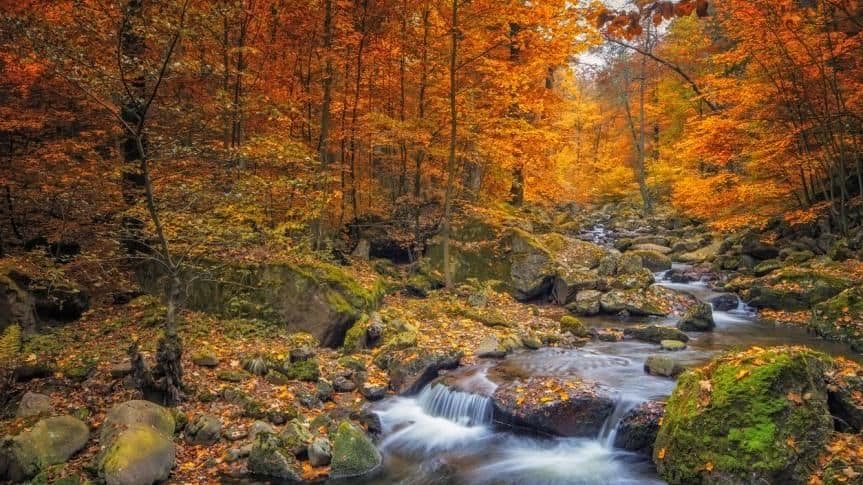 Il Sentiero dei Fiori: un’esperienza autunnale nelle Dolomiti