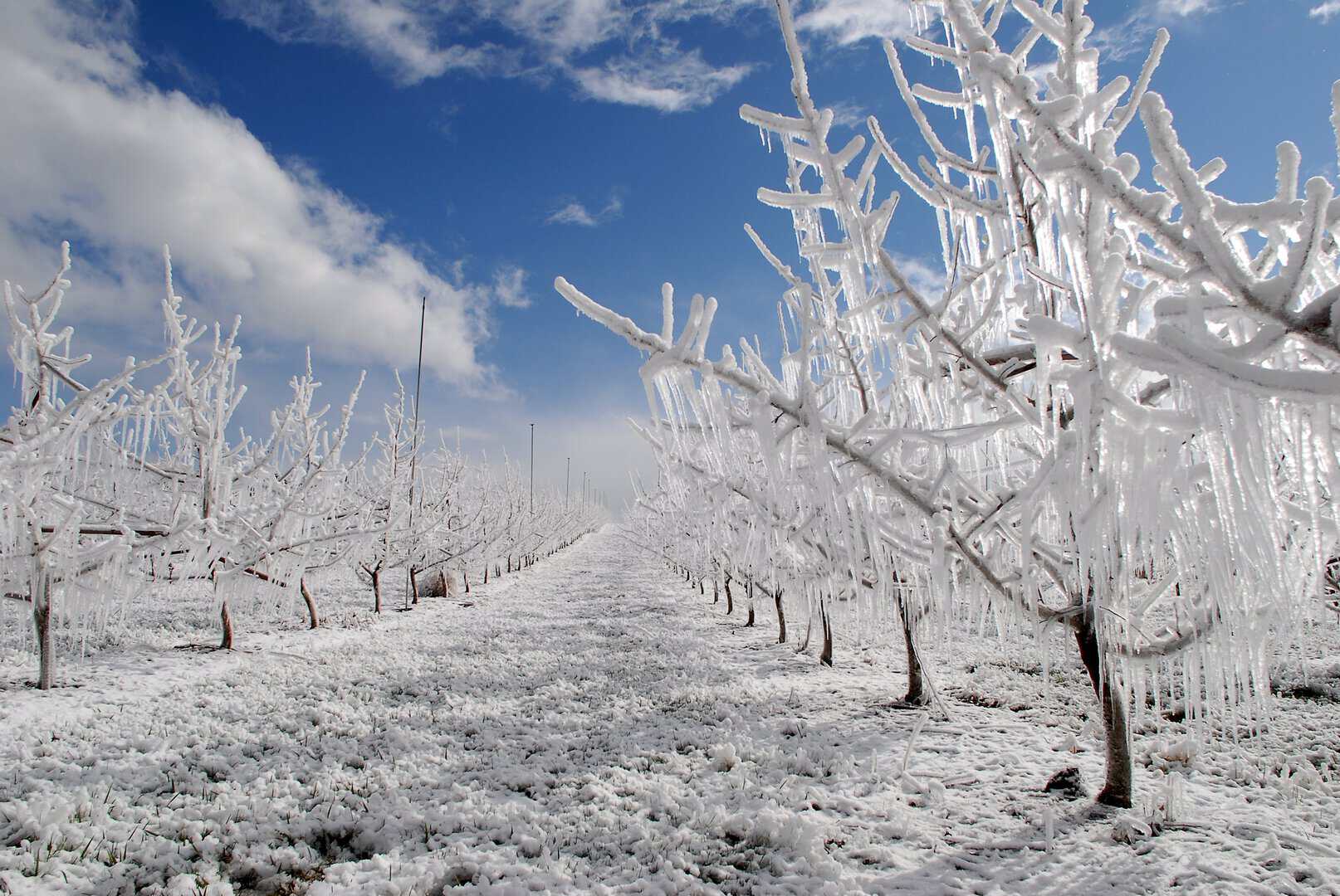 Meteo, Novembre gela l'Italia: prime Nevicate a quote basse in vista 7 dreamstime m 4734233