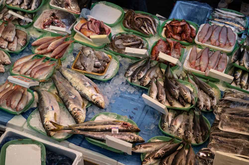 Il test del DNA e le nuove prospettive sull’etichettatura dei prodotti ittici
