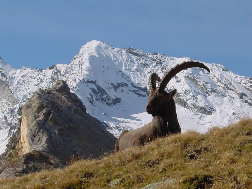Clima e nevicate in Savoia. Turismo nel Parco nazionale della Vanoise 5 Clima e nevicate in Savoia. Turismo nel Parco nazionale della Vanoise