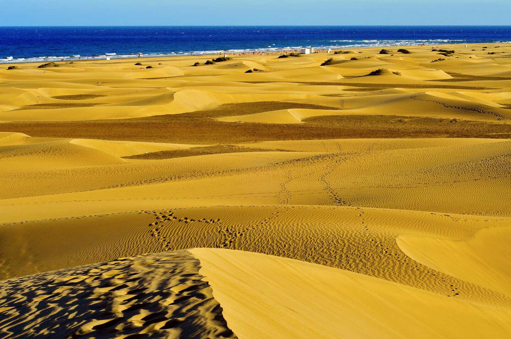 Vacanza a Maspalomas: dune dorate e divertimenti a Gran Canaria 12 Vacanza a Maspalomas: dune dorate e divertimenti a Gran Canaria