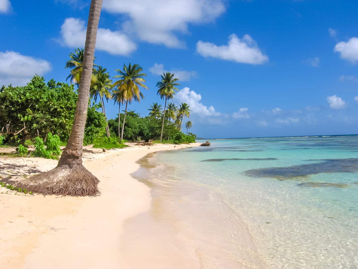 Vacanza a Guadalupa: spiagge, natura e cultura 21 Vacanza a Guadalupa: spiagge, natura e cultura