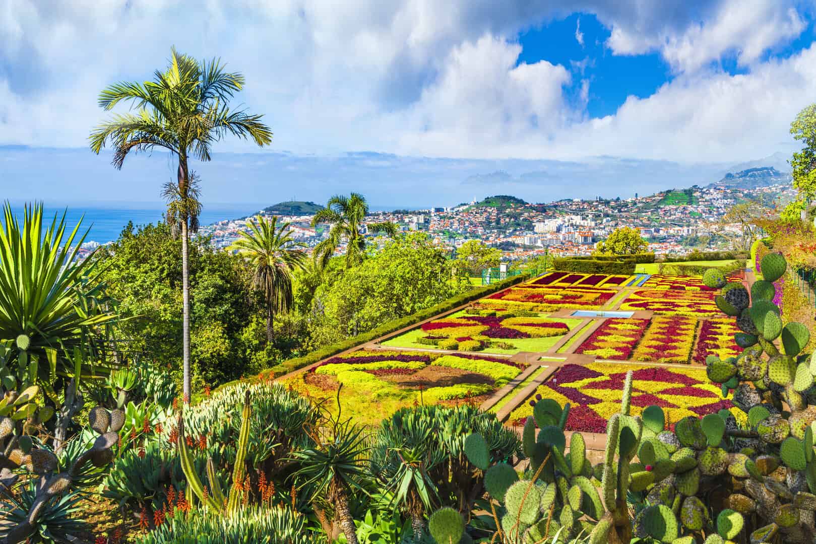 Scopri Funchal e i giardini botanici di Madeira 14 Scopri Funchal e i giardini botanici di Madeira