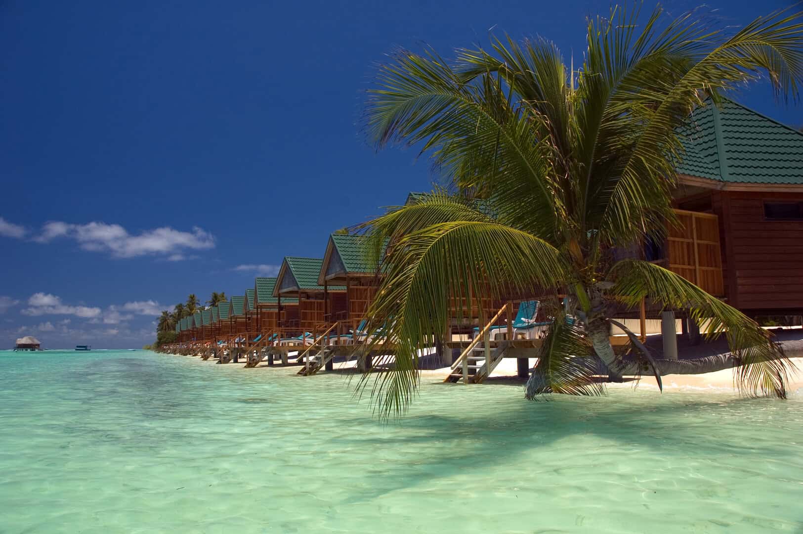 Malé Atoll nelle Maldive. Lusso e acque cristalline 10 Malé Atoll nelle Maldive. Lusso e acque cristalline