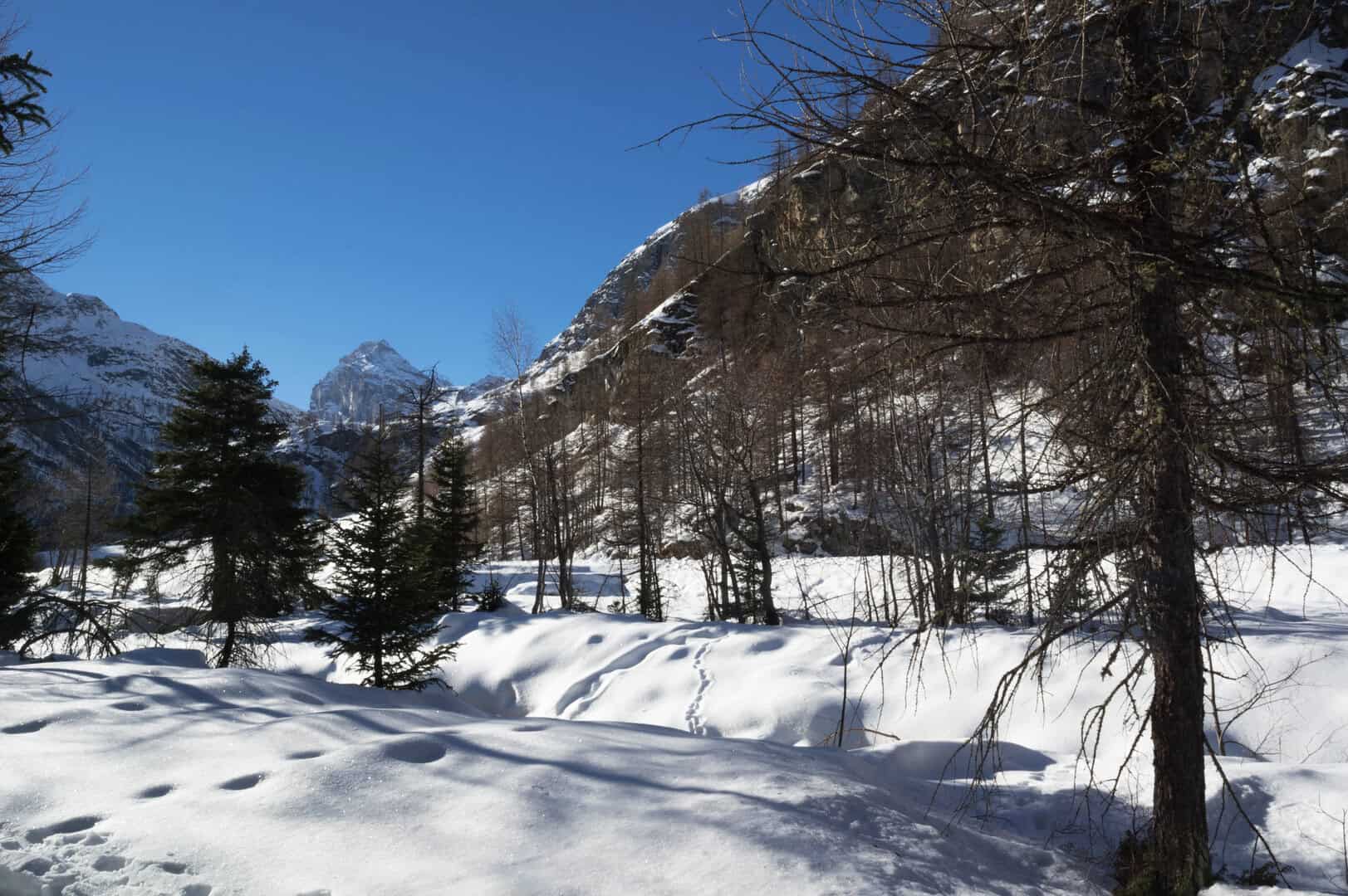 Rhemes Notre Dame e il turismo invernale 29 Rhemes Notre Dame e il turismo invernale