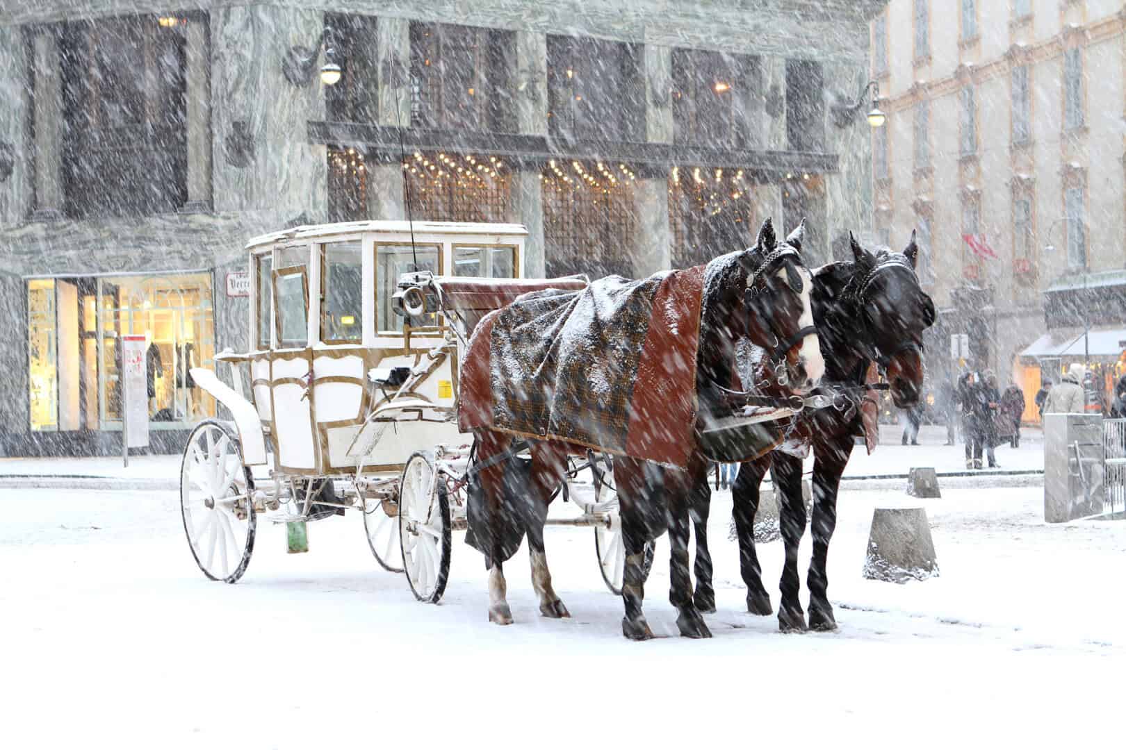 Meteo Austria, attesi 30 cm di neve. Vere tormente invernali