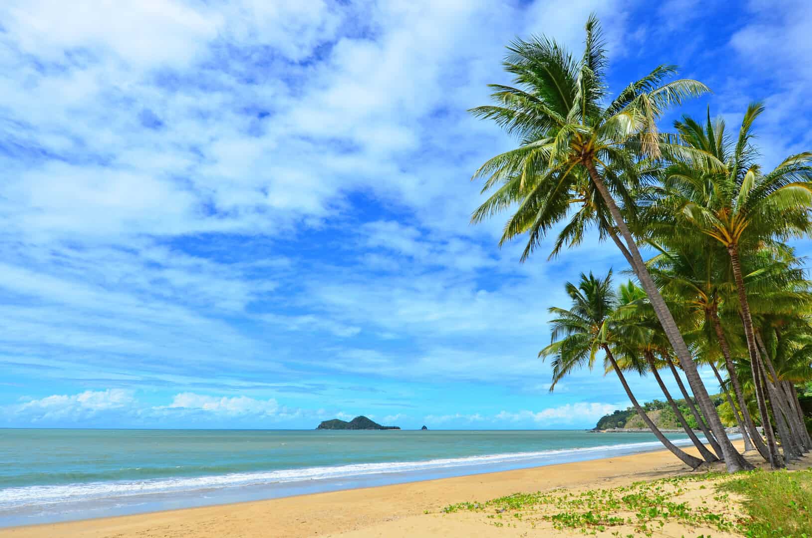 Viaggio a Cairns, tra giungla e barriera corallina