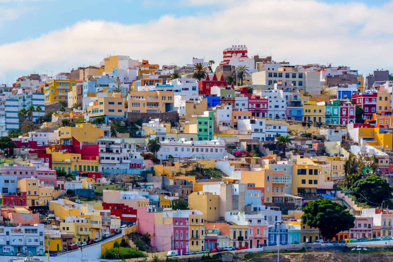 Scopri il Museo Elder. Turismo culturale a Las Palmas 23 Scopri il Museo Elder. Turismo culturale a Las Palmas