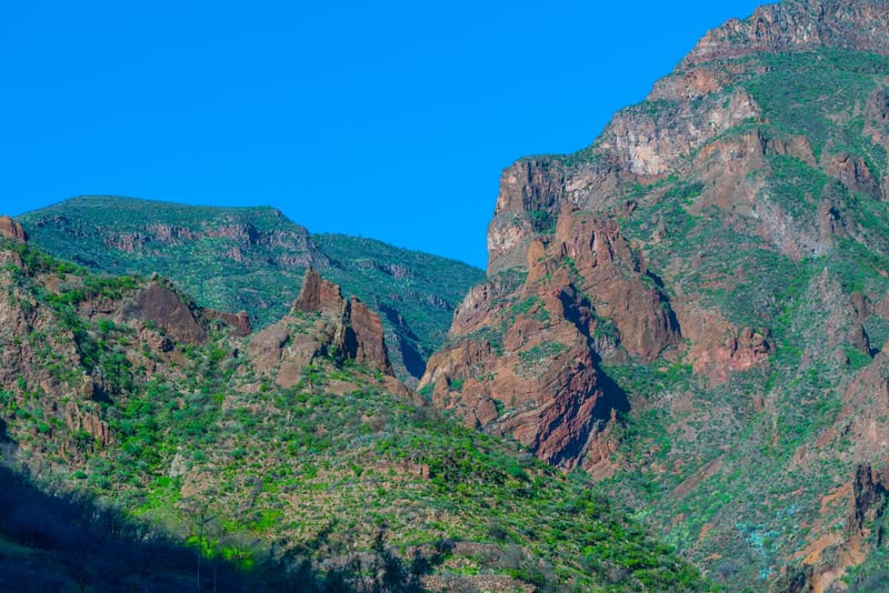 Viaggio tra le tradizioni di Barranco de Guayadeque a Gran Canaria