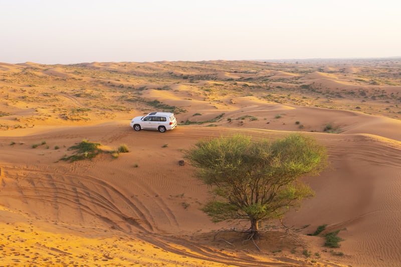 Vacanza tra mare e deserto a Ras Al Khaimah 14 Vacanza tra mare e deserto a Ras Al Khaimah