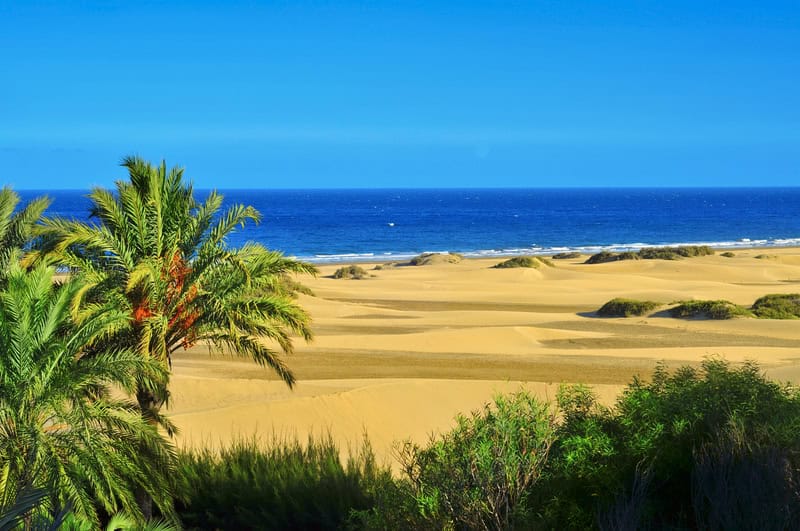 Gran Canaria: spiagge, dune di Maspalomas e la città di Las Palmas 13 Gran Canaria: spiagge, dune di Maspalomas e la città di Las Palmas