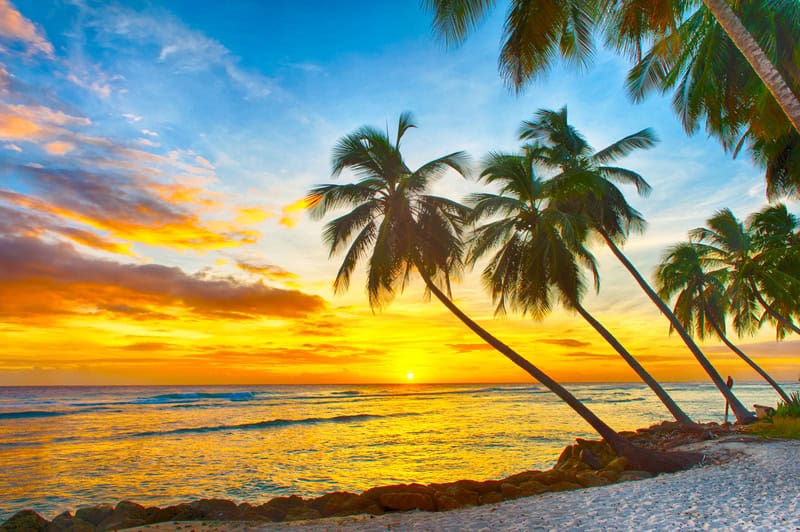 Turismo a Barbados, tra spiagge incantevoli e cultura creola vibrante 15 Turismo a Barbados, tra spiagge incantevoli e cultura creola vibrante