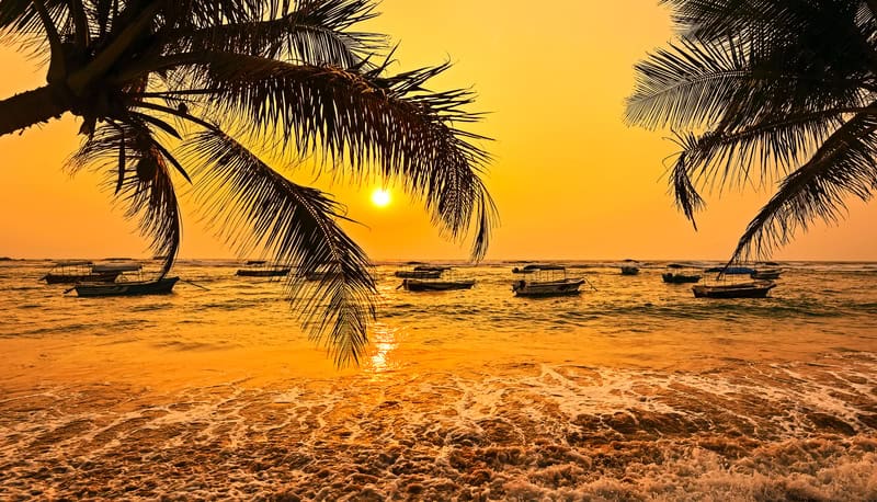 Viaggio tra mare e cultura a Bentota, Sri Lanka.