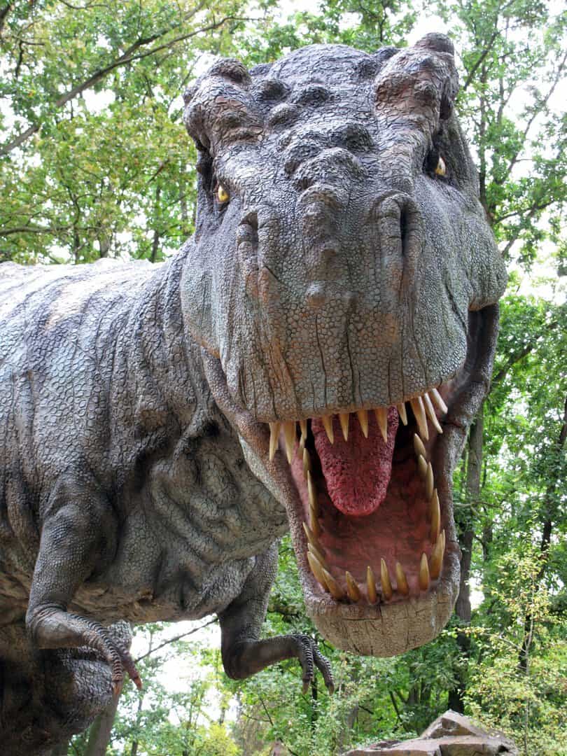 L’ascesa dei dinosauri vista attraverso fossili di feci e vomito 2 dreamstime xxl 11983484 scaled
