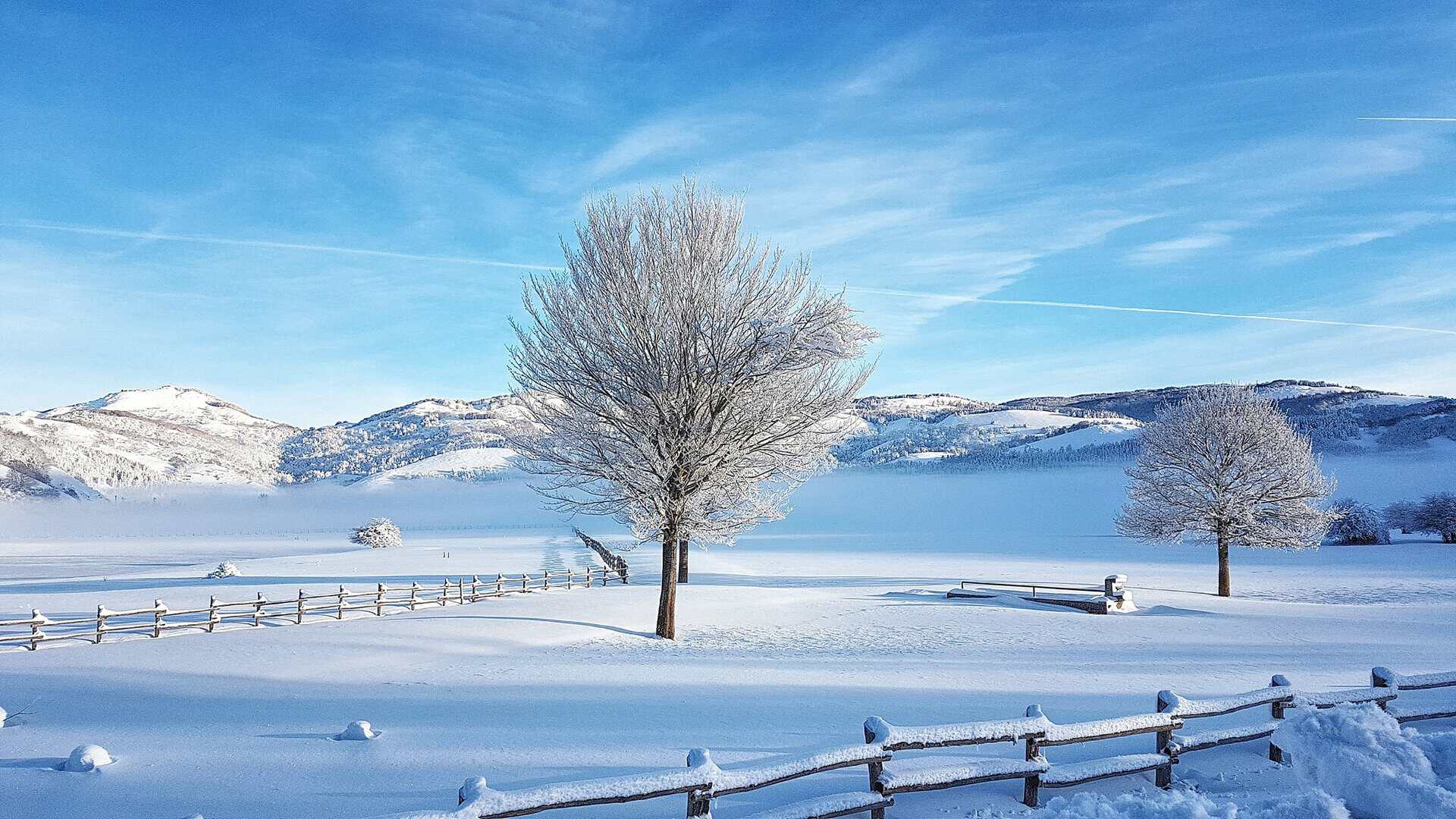Sci, ciaspolate e sci di fondo a Laceno. Turismo in Campania 14 Sci, ciaspolate e sci di fondo a Laceno. Turismo in Campania