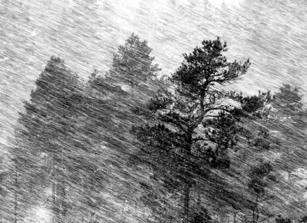 Meteo Norvegia, tutto pronto per la tempesta di neve da record