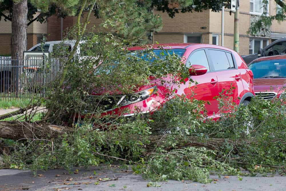 Meteo FRANCIA, arriva una nuova tempesta. ALLERTA