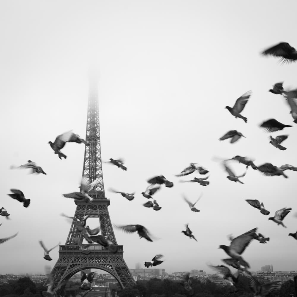 Meteo in Francia: previsioni per l’inizio del 2025 tra neve, pioggia e vento