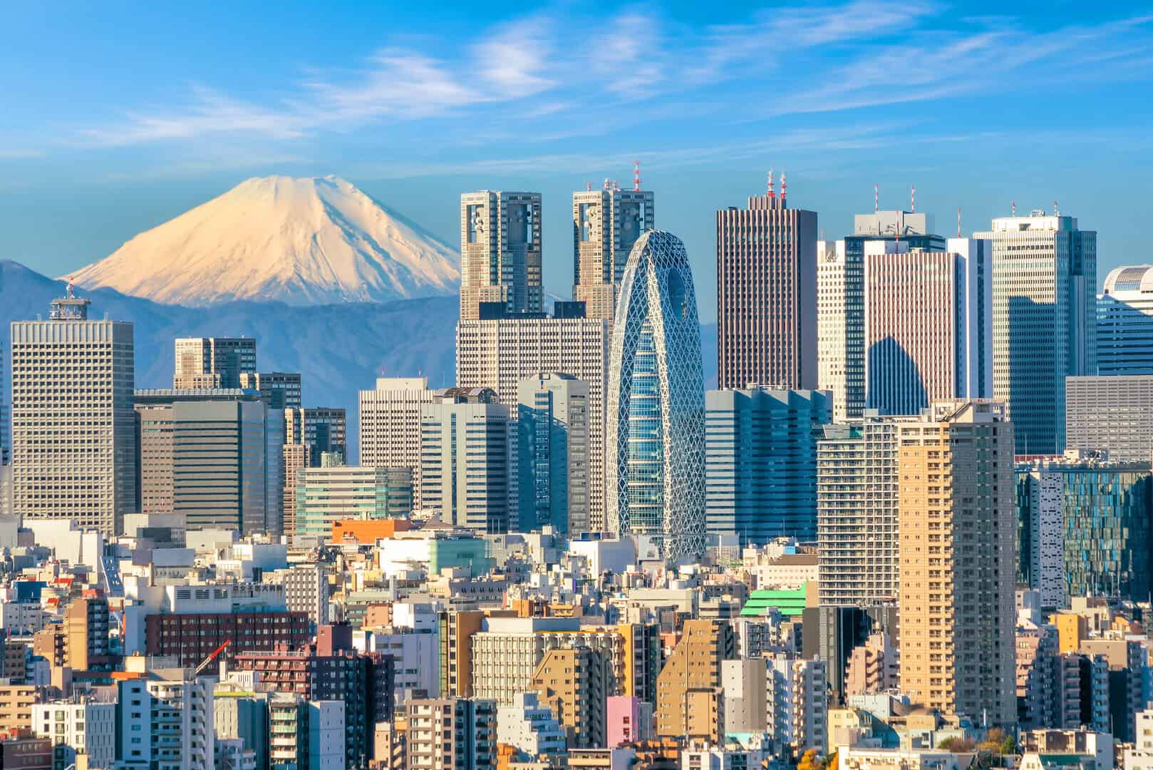 Nel cuore dell’inverno giapponese: tradizione e modernità a Tokyo 20 Nel cuore dell’inverno giapponese: tradizione e modernità a Tokyo