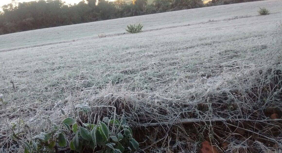Minho avvolto dalla brina: oscillazioni termiche e cambiamenti meteo in arrivo