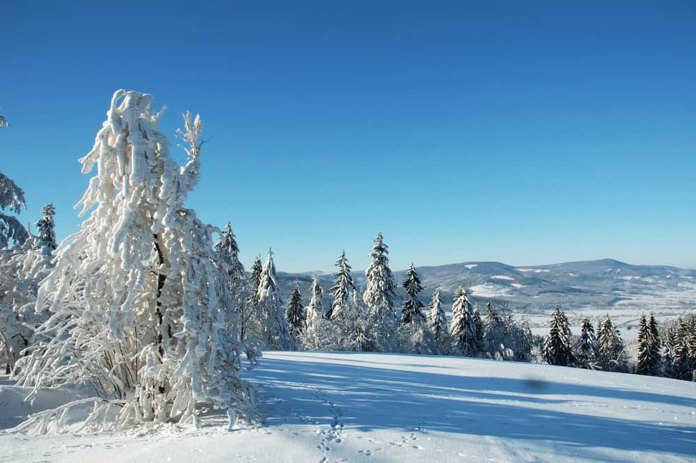 Meteo Beskydy: neve abbondante fino a lunedì, previste accumulazioni record